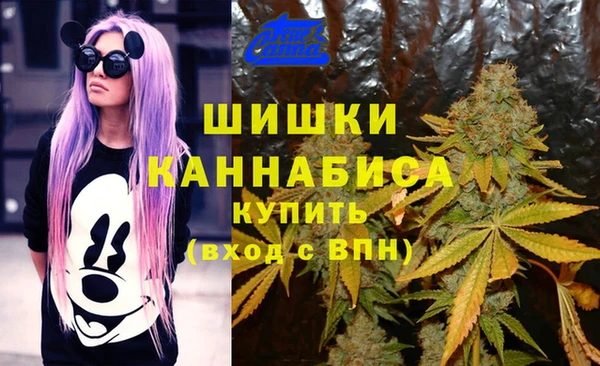 стафф Баксан